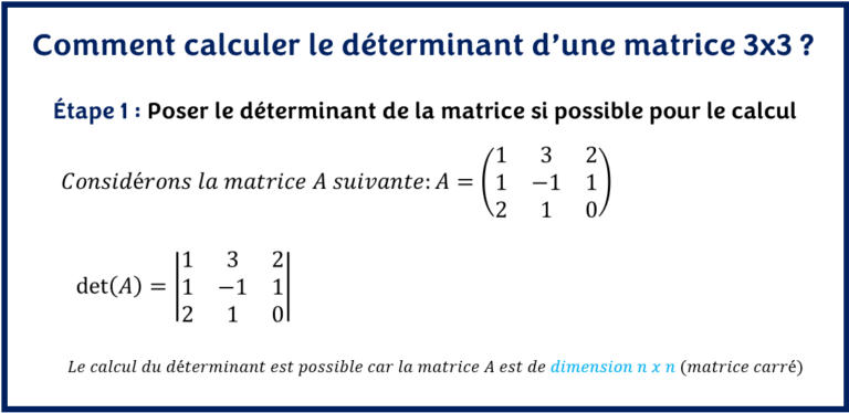 Comment Calculer Le D Terminant D Une Matrice X