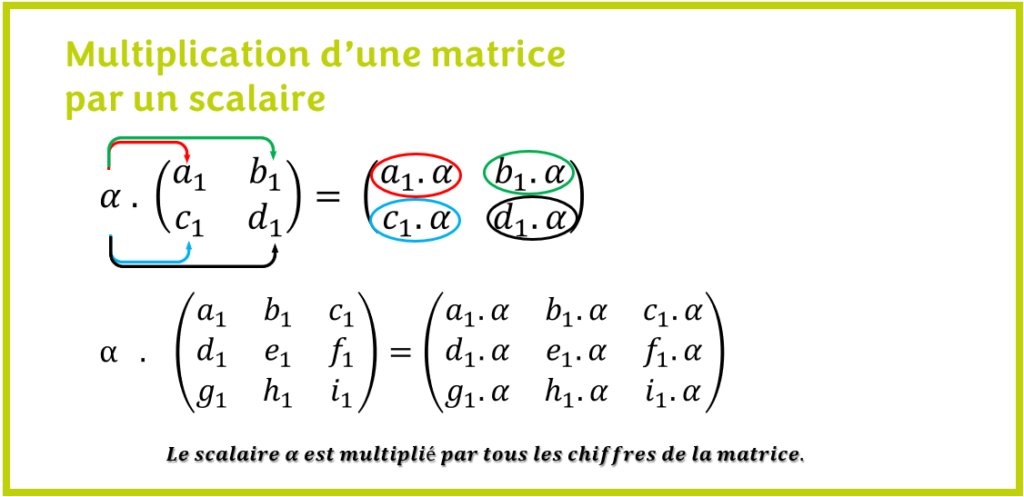 Multiplication d'une matrice par un scalaire