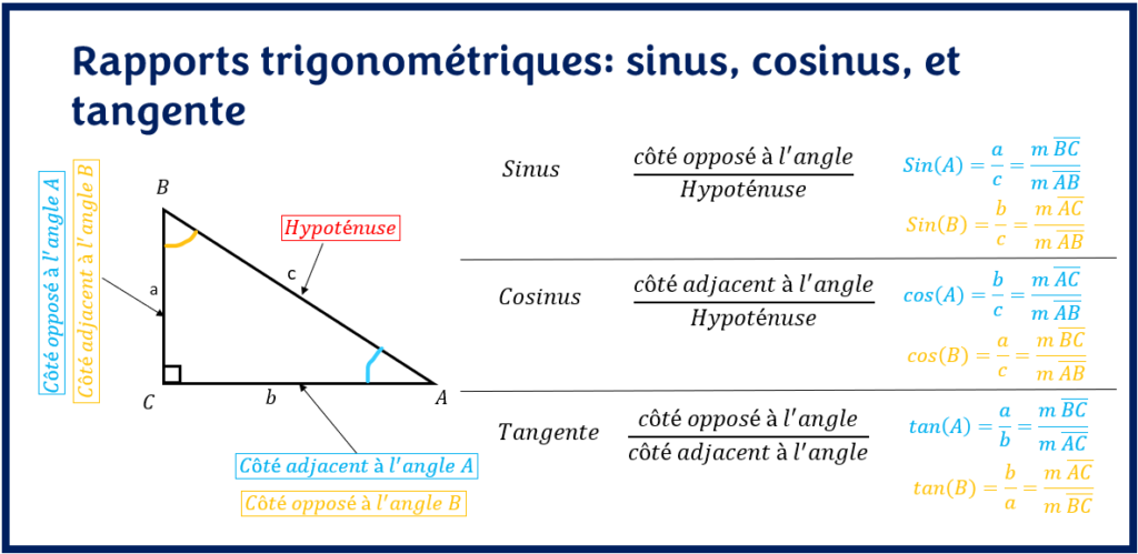 Rapports trigonométriques : sinus, cosinus et tangente